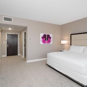 One Bedroom King Suite Sofa Bed Non-Smoking